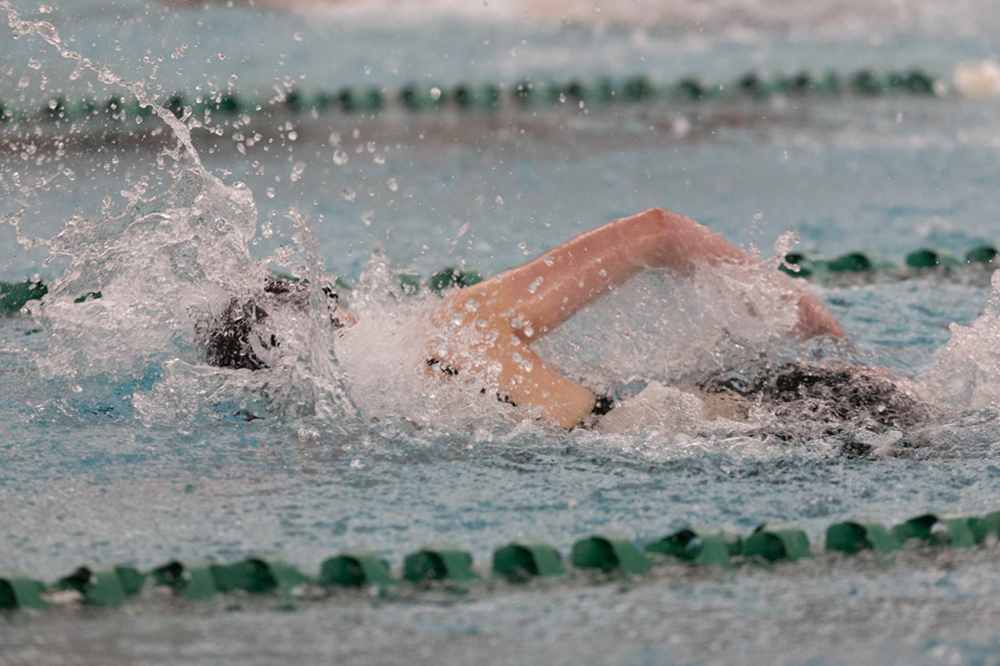 %_tempFileName1M6A8670%