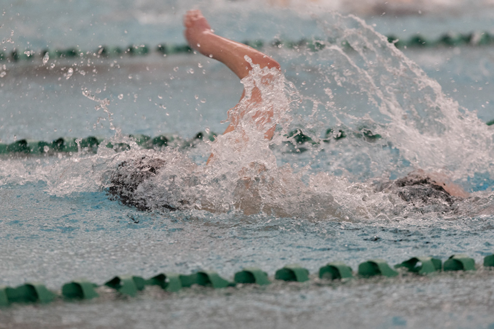 %_tempFileName1M6A8672%