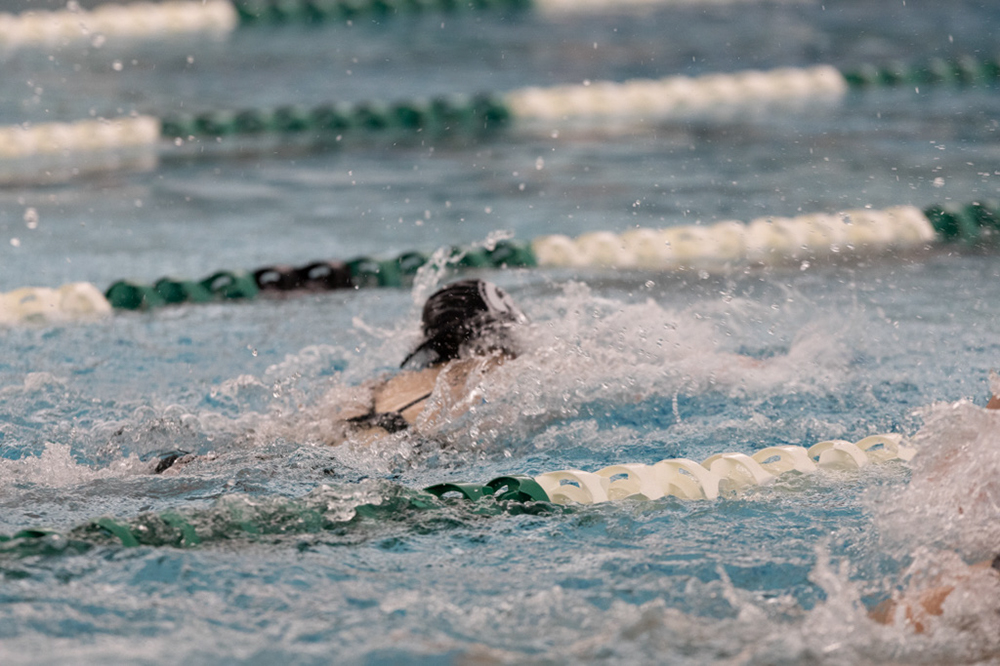 %_tempFileName1M6A8678%