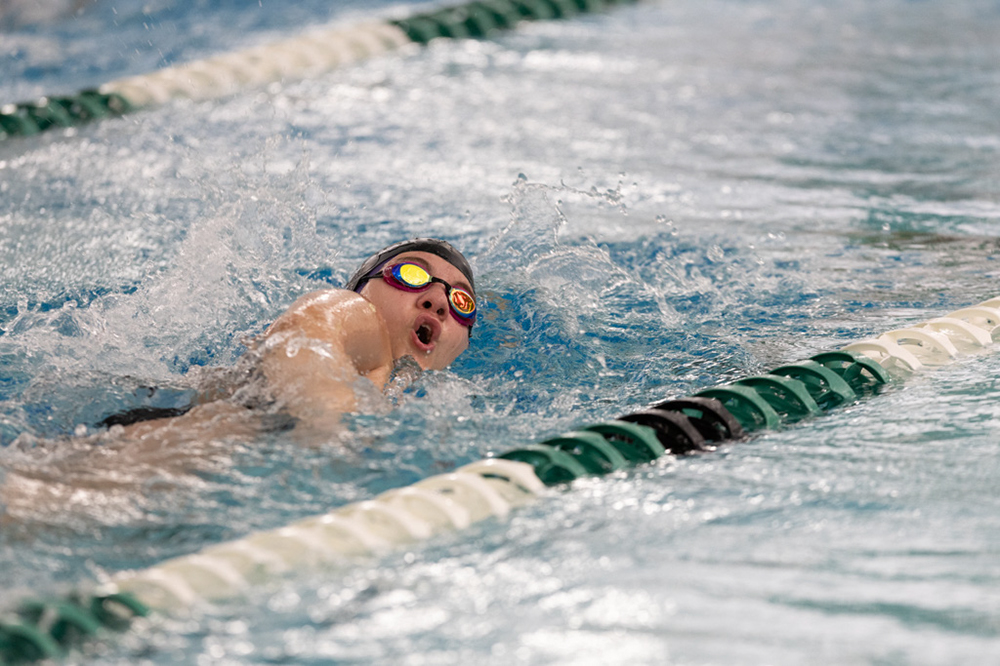 %_tempFileName1M6A8684%