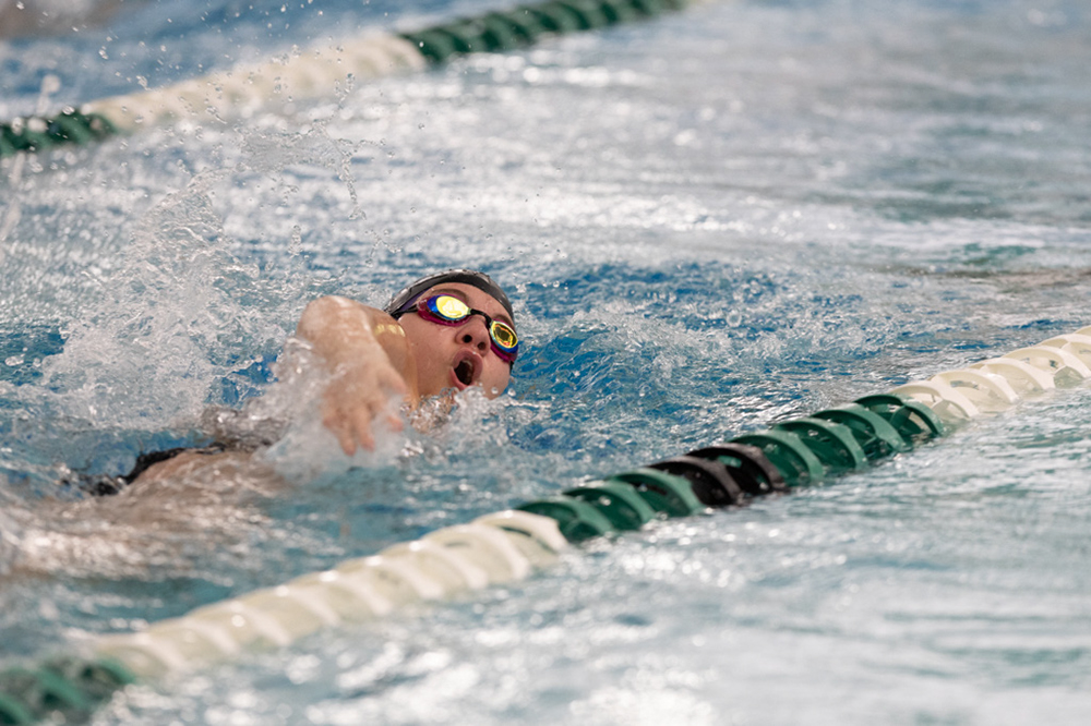 %_tempFileName1M6A8685%