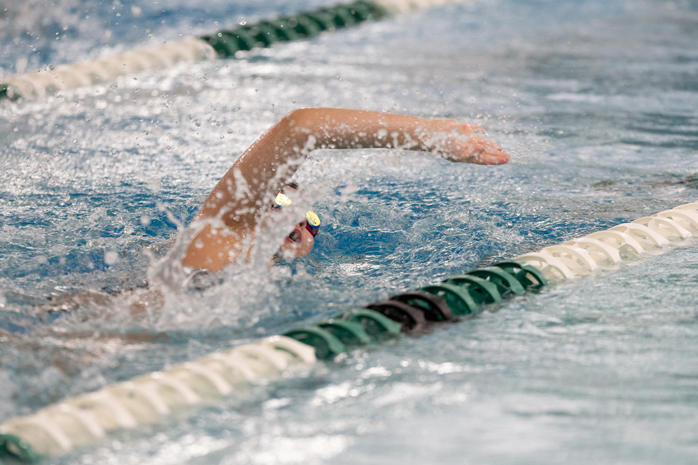 %_tempFileName1M6A8688%