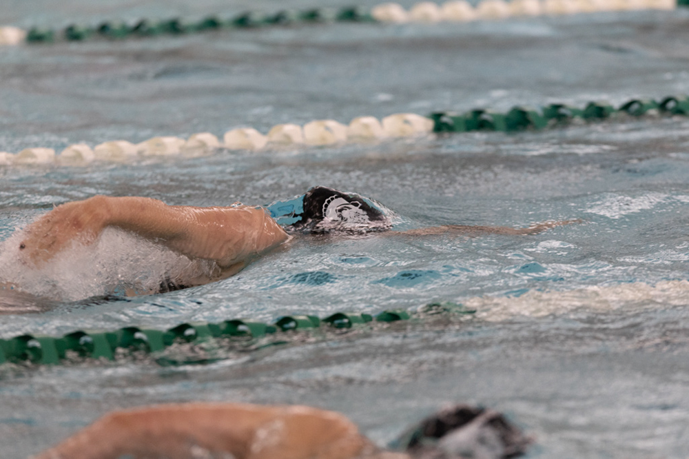 %_tempFileName1M6A8690%