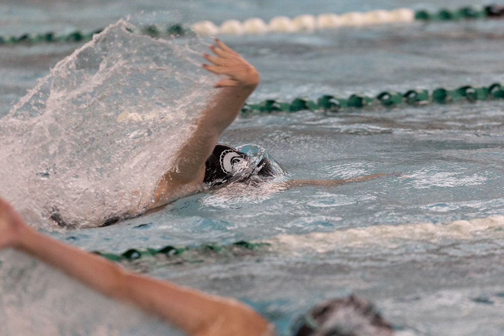 %_tempFileName1M6A8692%