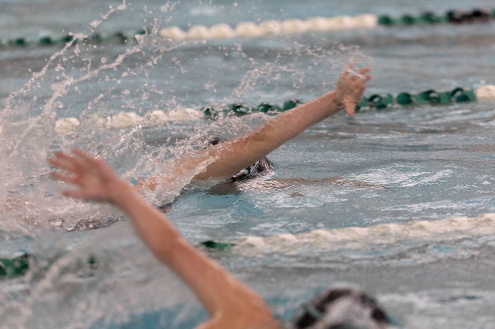 %_tempFileName1M6A8693%