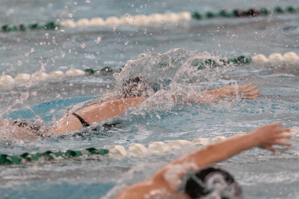 %_tempFileName1M6A8695%