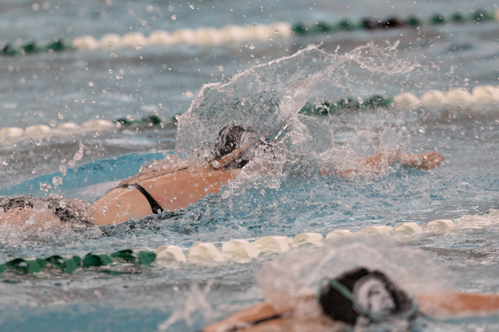 %_tempFileName1M6A8696%