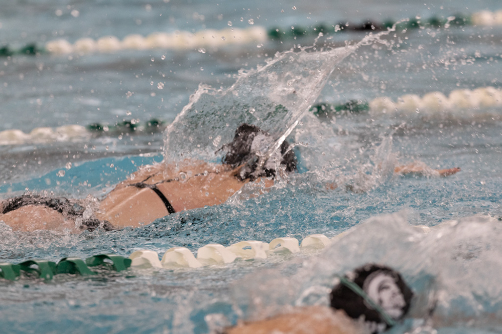 %_tempFileName1M6A8697%