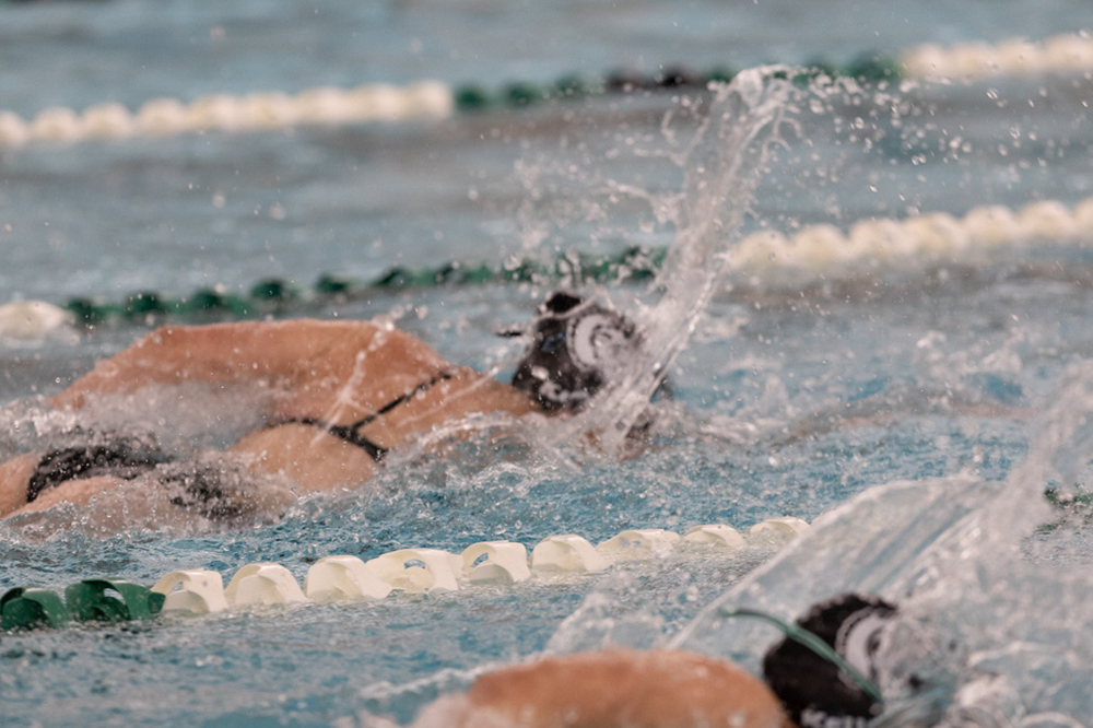 %_tempFileName1M6A8699%