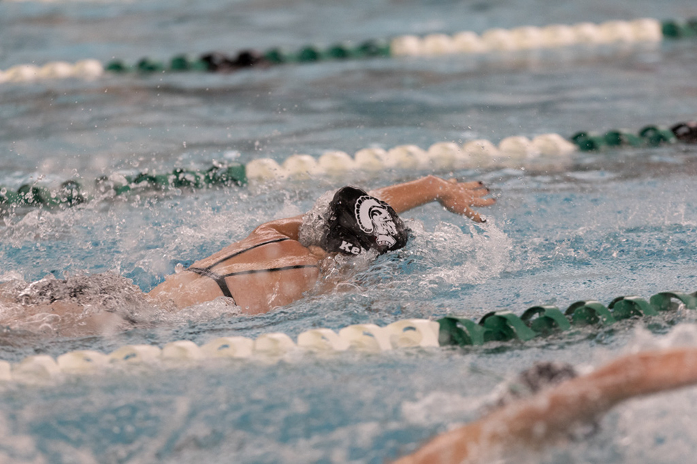 %_tempFileName1M6A8703%