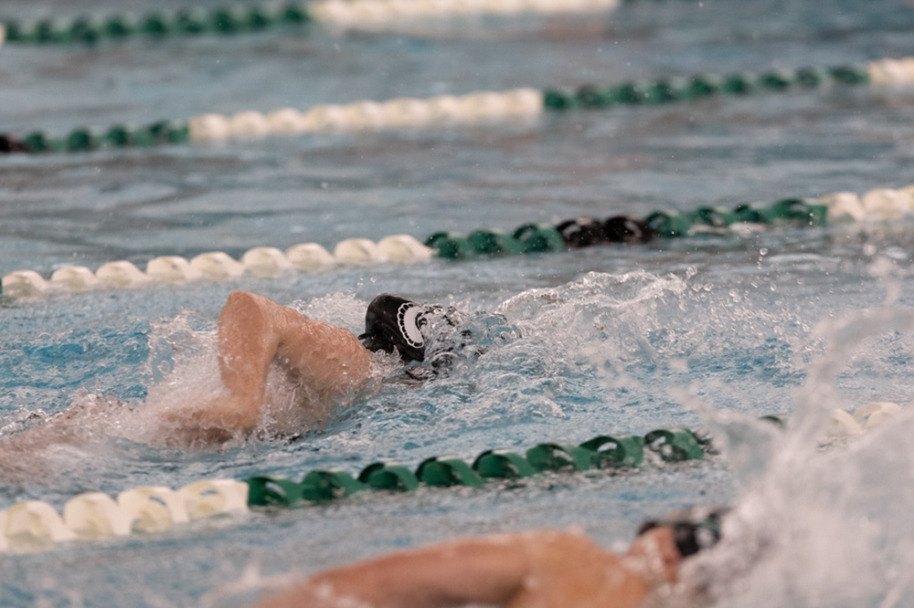 %_tempFileName1M6A8708%