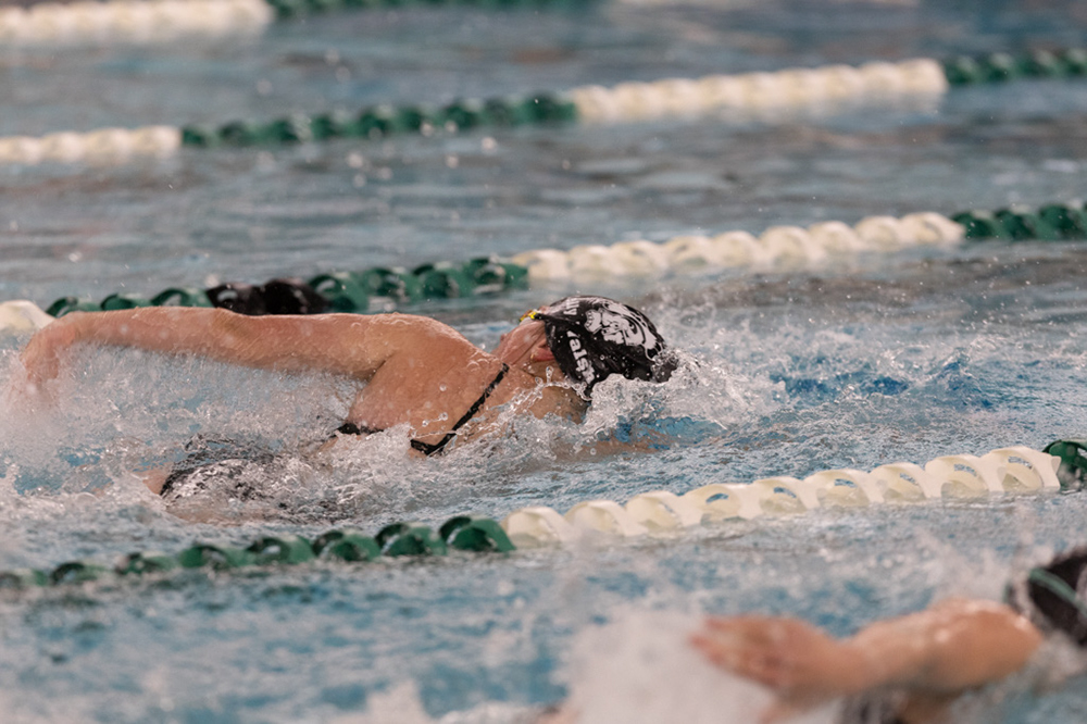 %_tempFileName1M6A8717%