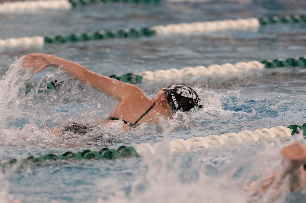 %_tempFileName1M6A8718%