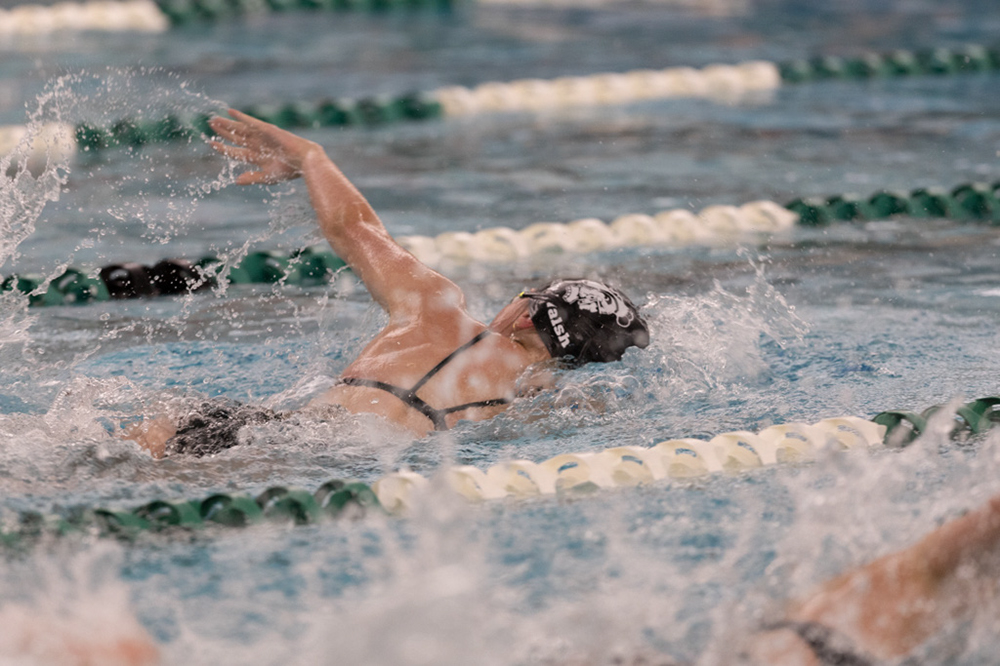 %_tempFileName1M6A8719%