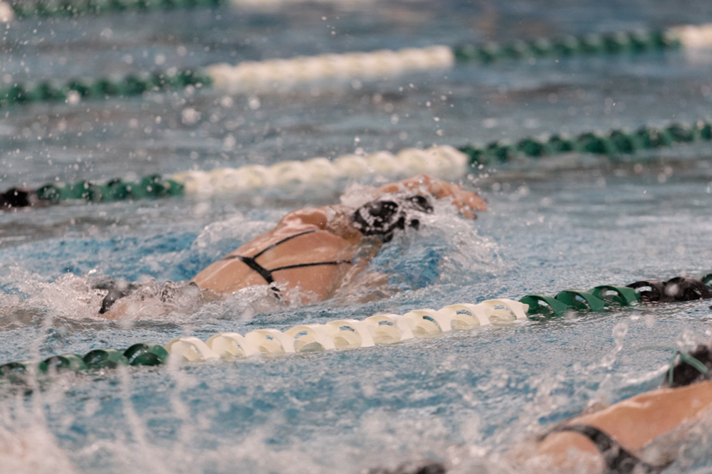 %_tempFileName1M6A8721%