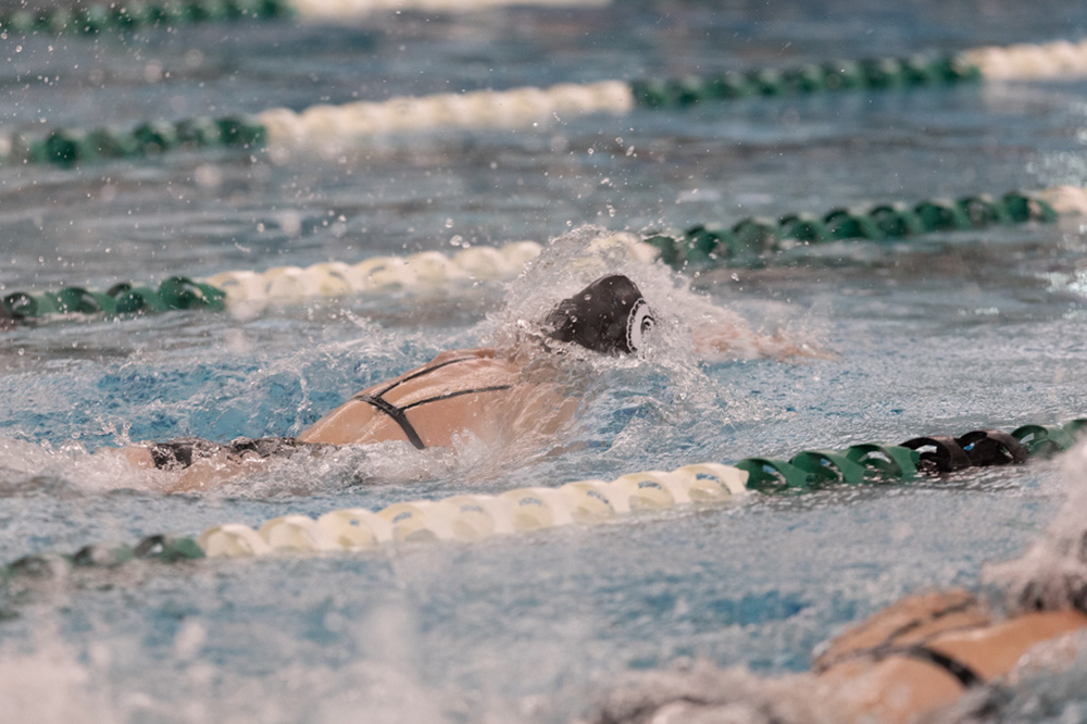 %_tempFileName1M6A8722%