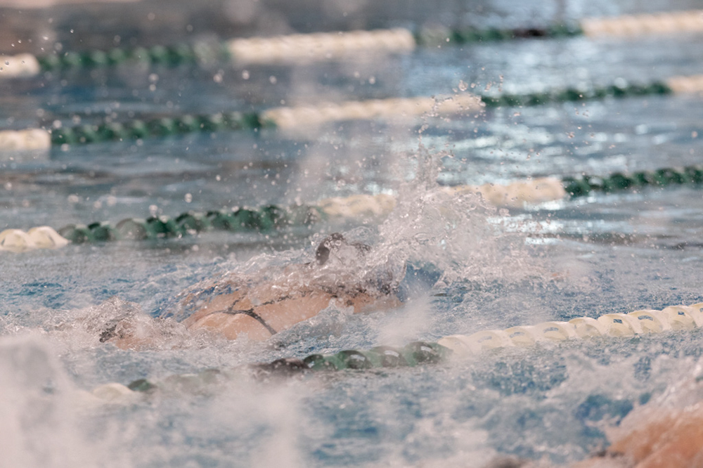 %_tempFileName1M6A8726%