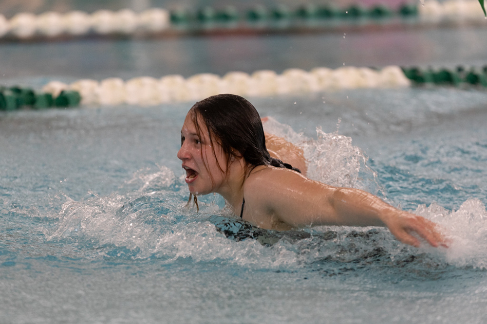 %_tempFileName1M6A8799%