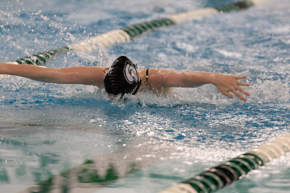 %_tempFileName1M6A8973%