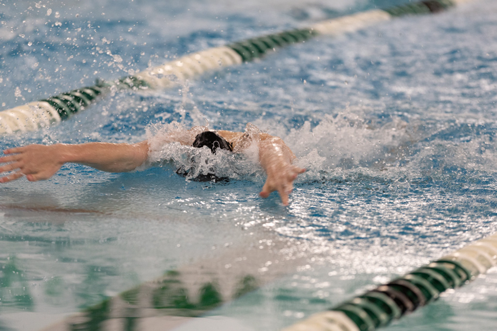 %_tempFileName1M6A8974%