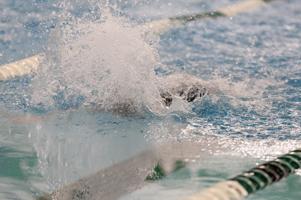 %_tempFileName1M6A8977%