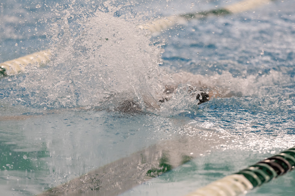 %_tempFileName1M6A8978%