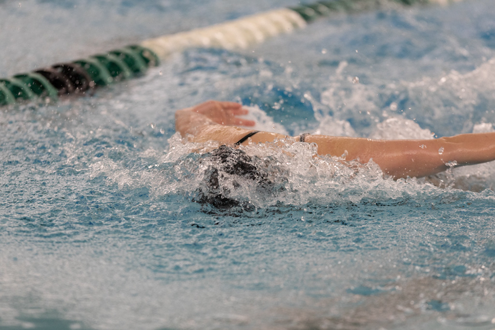 %_tempFileName1M6A8980%