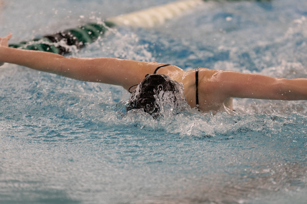 %_tempFileName1M6A8982%