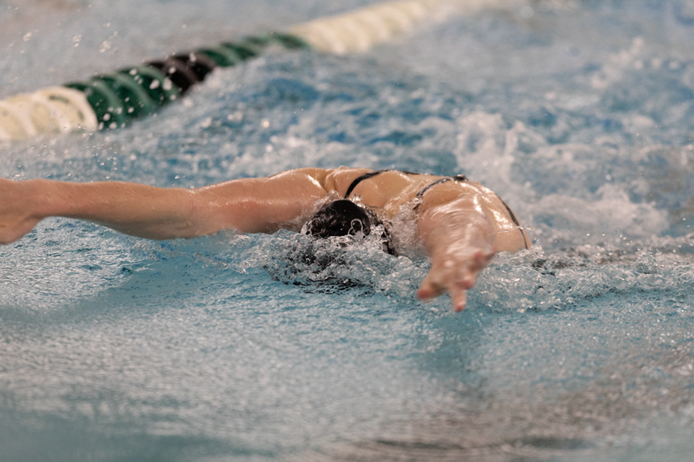 %_tempFileName1M6A8984%