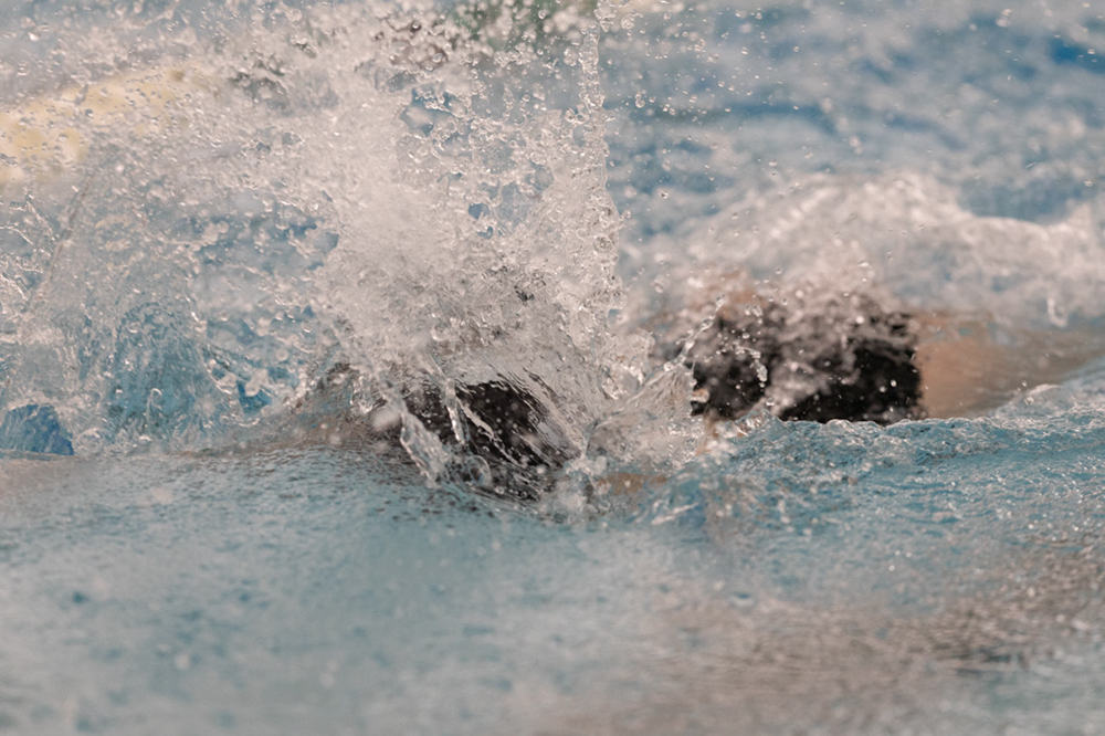 %_tempFileName1M6A8988%