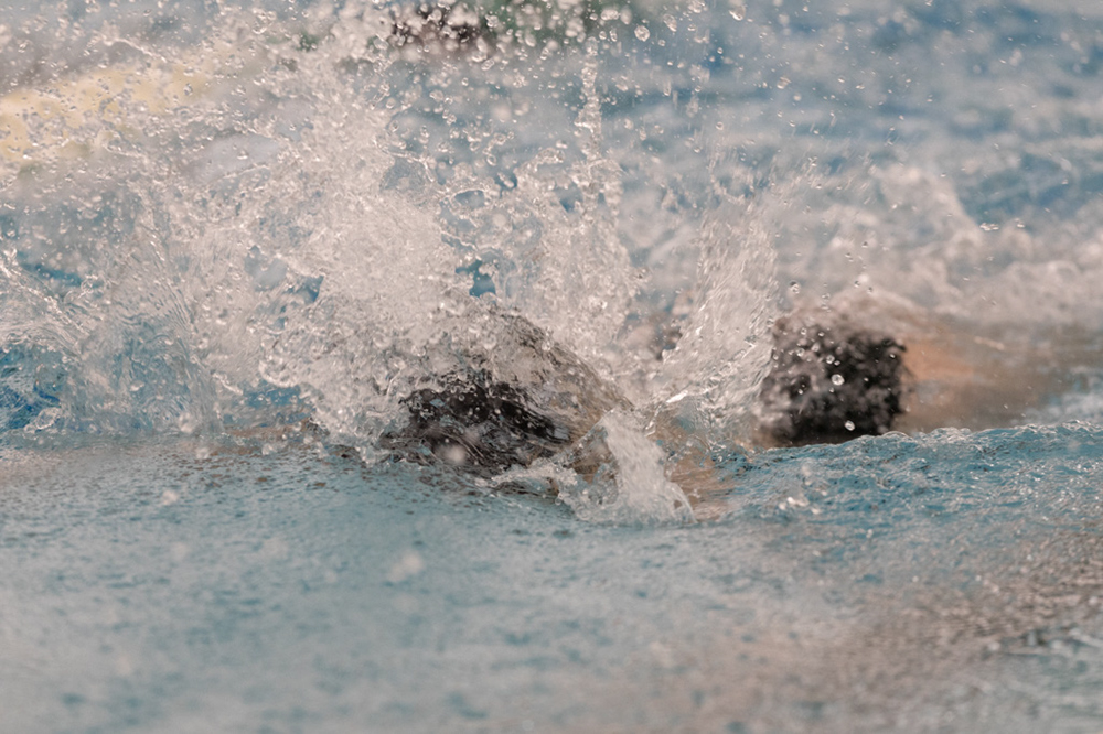 %_tempFileName1M6A8989%