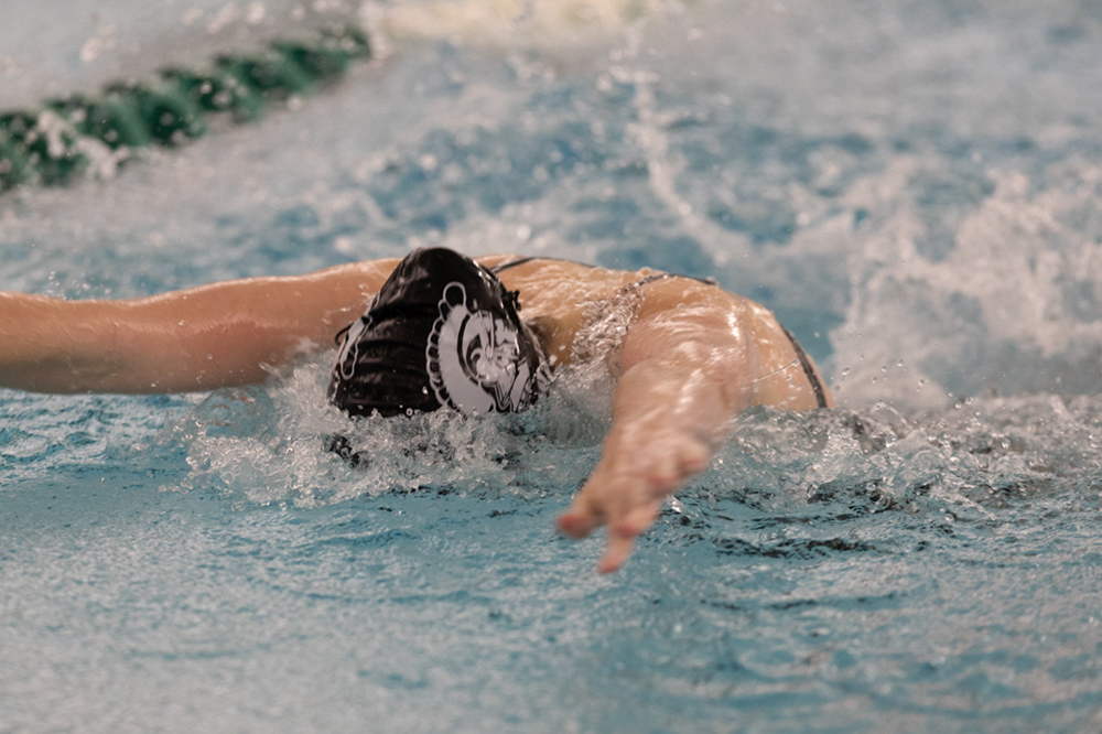 %_tempFileName1M6A8999%