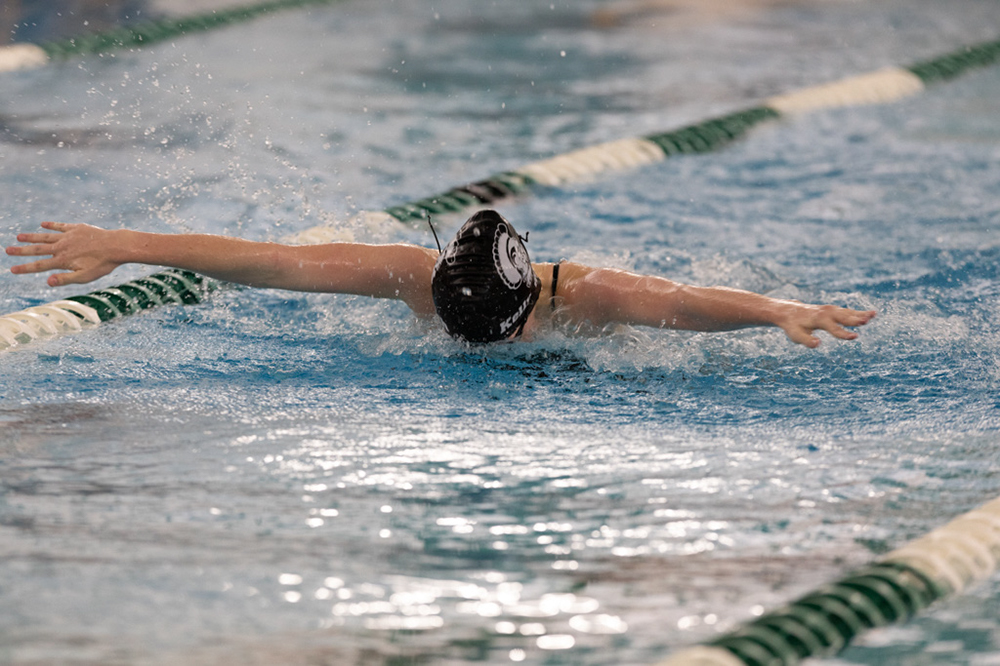 %_tempFileName1M6A9010%