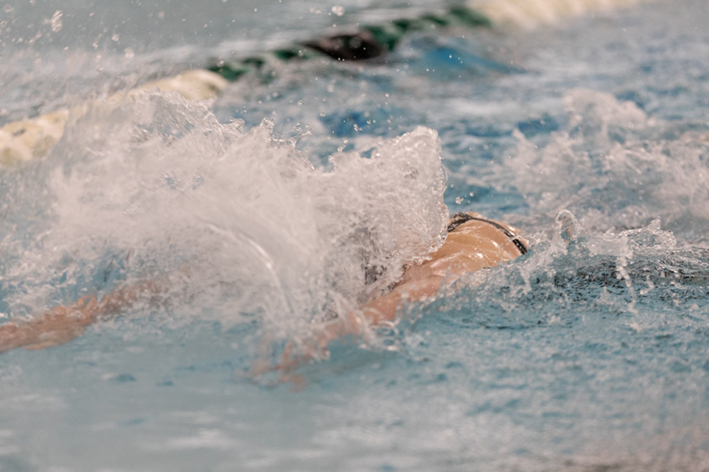 %_tempFileName1M6A9028%