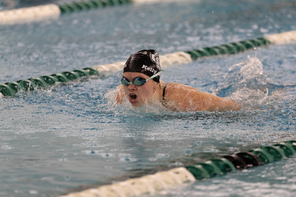 %_tempFileName1M6A9042%