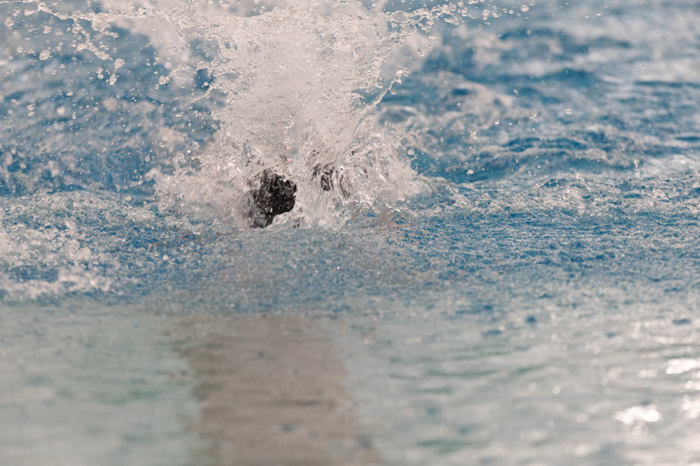 %_tempFileName1M6A9077%