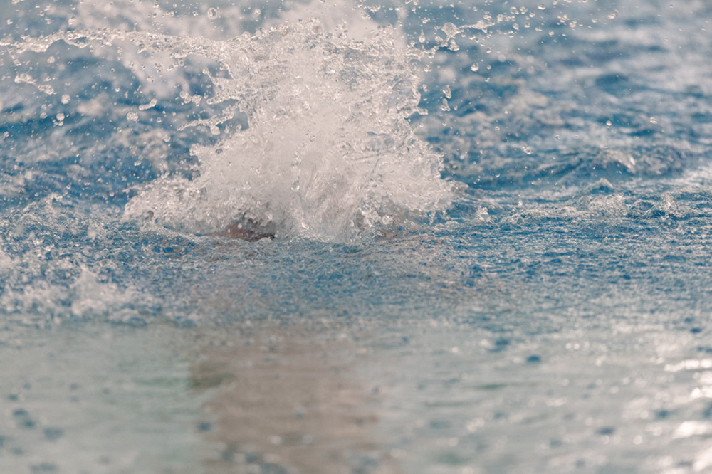 %_tempFileName1M6A9078%