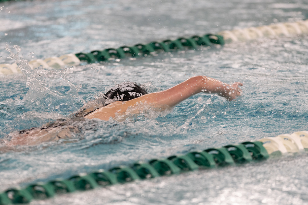 %_tempFileName1M6A9084%