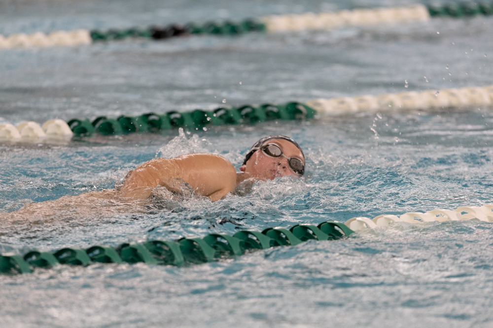 %_tempFileName1M6A9088%