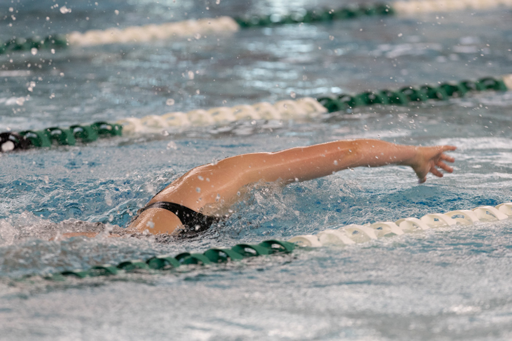 %_tempFileName1M6A9103%