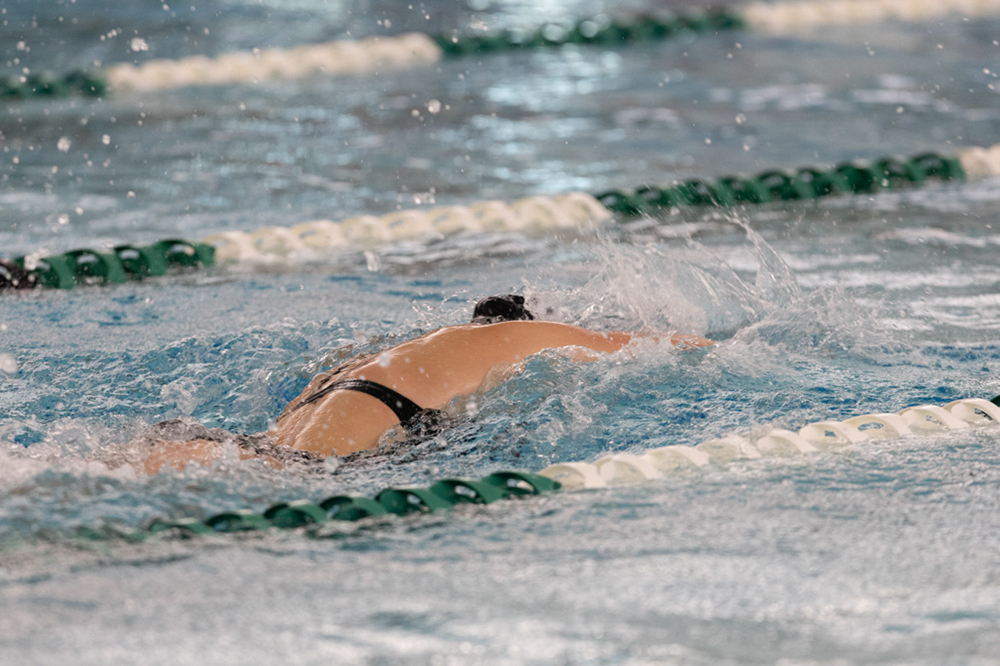 %_tempFileName1M6A9104%