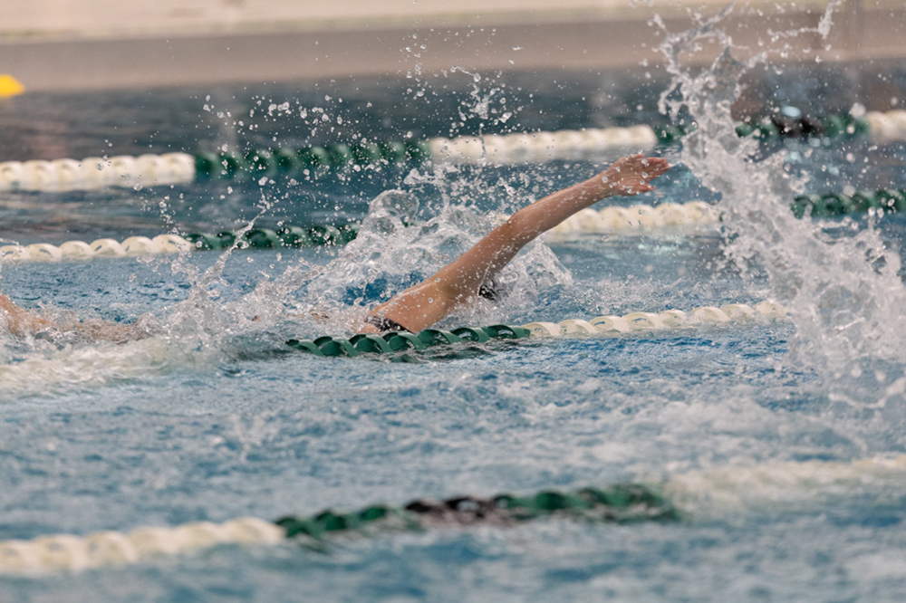 %_tempFileName1M6A9115%