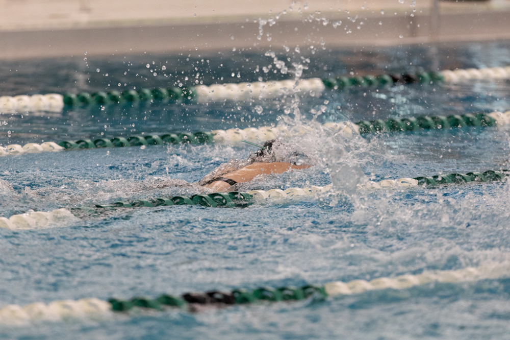 %_tempFileName1M6A9118%