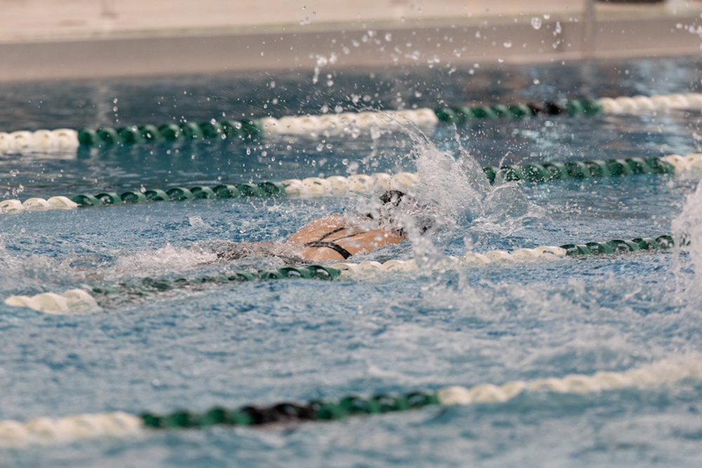 %_tempFileName1M6A9119%