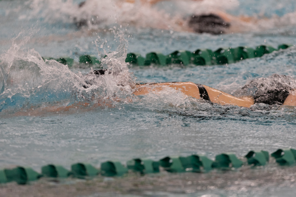 %_tempFileName1M6A9133%