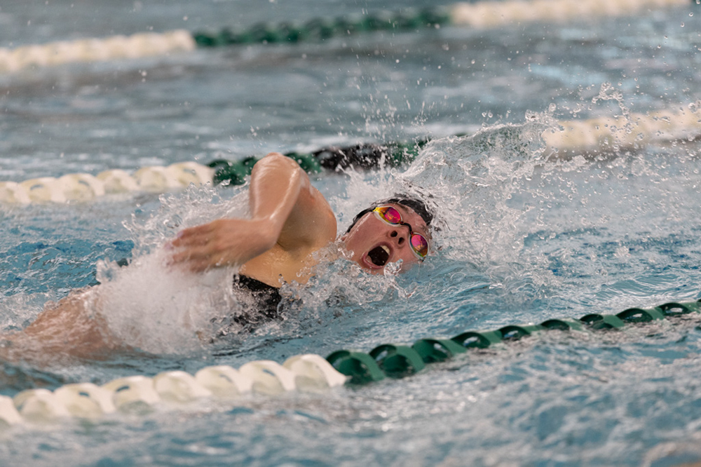 %_tempFileName1M6A9135%