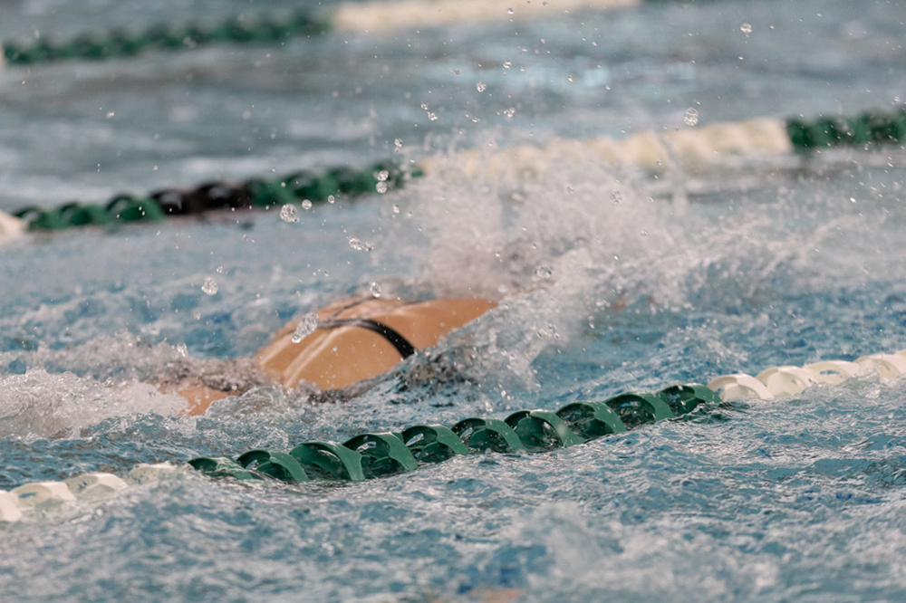 %_tempFileName1M6A9141%