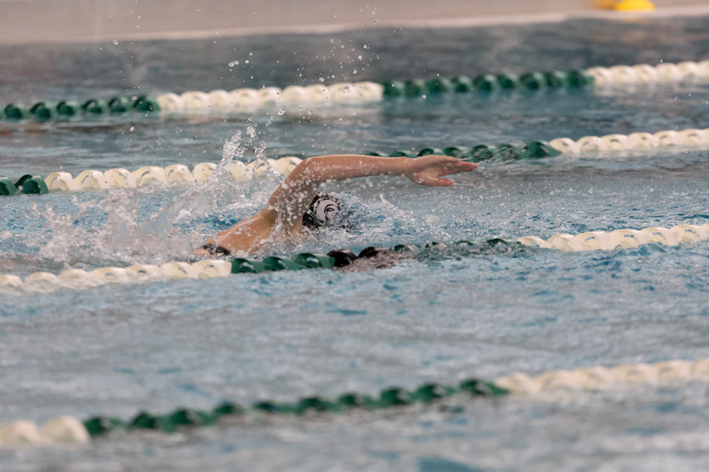 %_tempFileName1M6A9146%