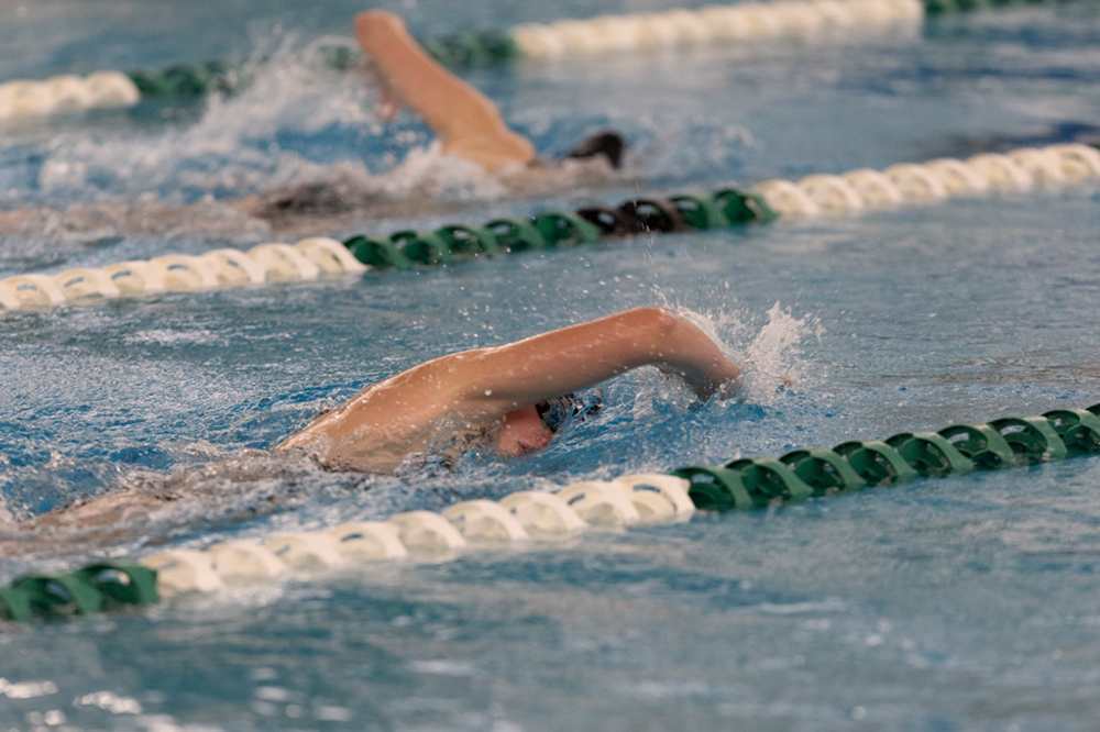 %_tempFileName1M6A9204%