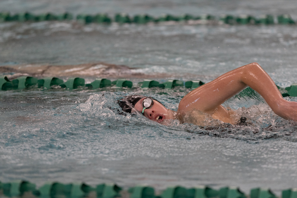 %_tempFileName1M6A9223%